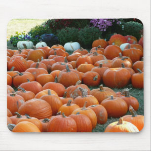 Pumpkins und Mums Herbsternte Fotografie Mousepad