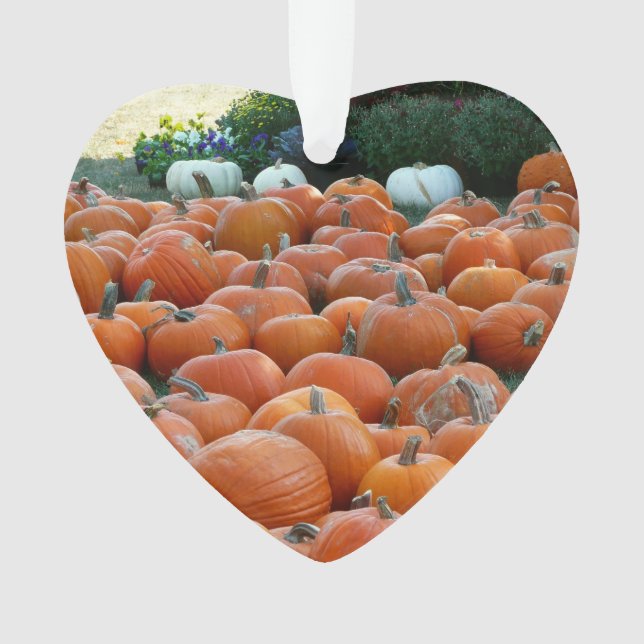 Pumpkins und Mums Herbsternte Fotografie Ornament (Vorderseite)