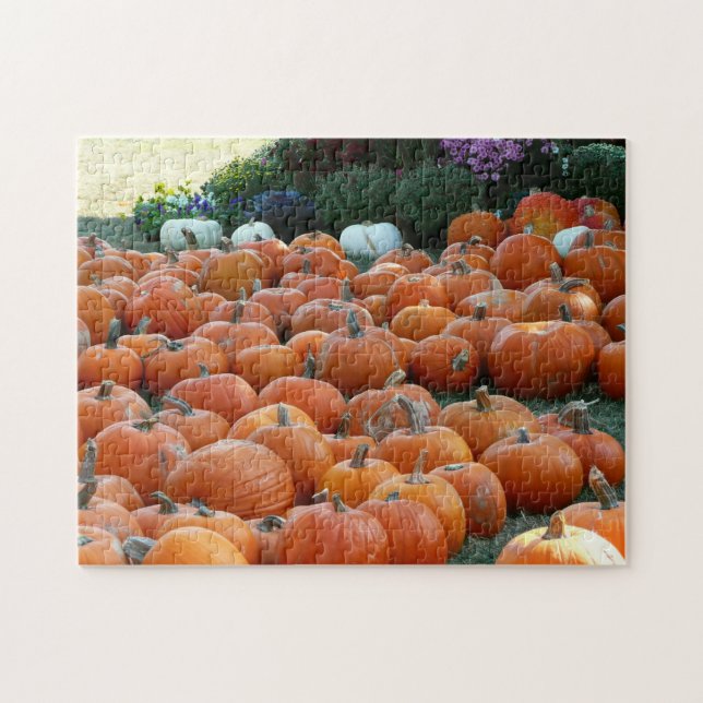 Pumpkins und Mums Herbsternte Fotografie Puzzle (Horizontal)