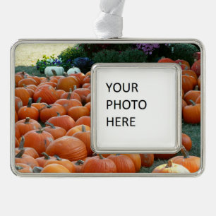 Pumpkins und Mums Herbsternte Fotografie Rahmen-Ornament Silber
