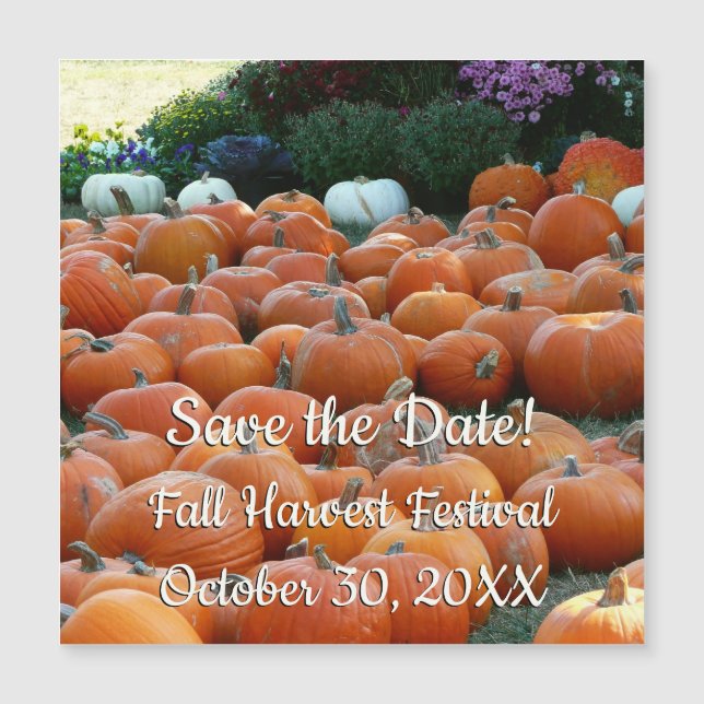 Pumpkins und Mums Herbsternte Save the Date Magnetkarte (Vorderseite)