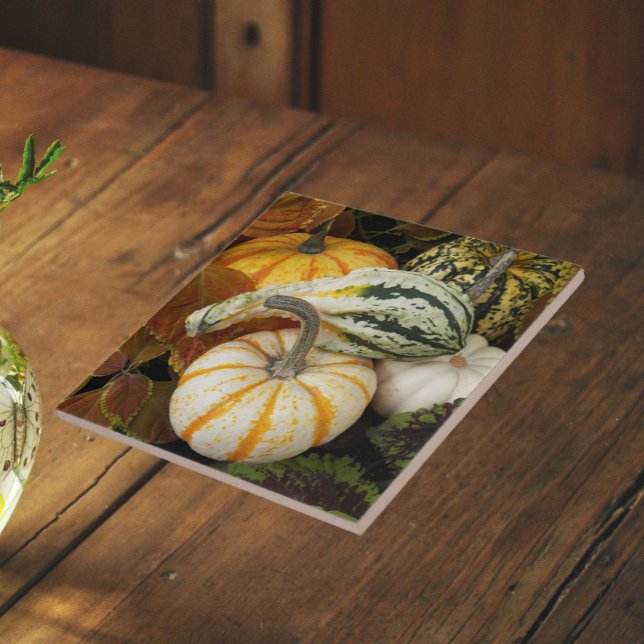 Pumpkins und Squash Still Life Foto Fliese (In Situ (Angled))