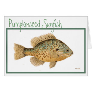 Pumpkinseed Sunfishkarte