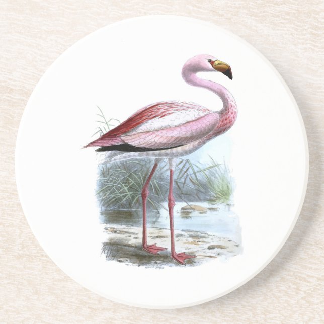 Puna Flamingo Vintag Illustration Getränkeuntersetzer (Vorne)