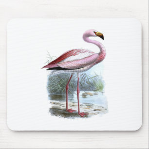 Puna Flamingo Vintag Illustration Mousepad