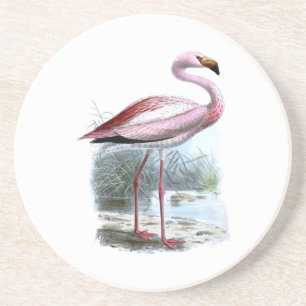 Puna-Flamingo-Vintage-Illustration Getränkeuntersetzer