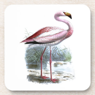 Puna-Flamingo-Vintage-Illustration Untersetzer