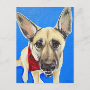 Punkin Painting Postkarte