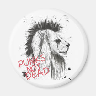 Punks nicht absolut magnet