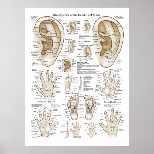 Punkteplakat für akupunktive Mikrosystempunkte Poster (Vorne)