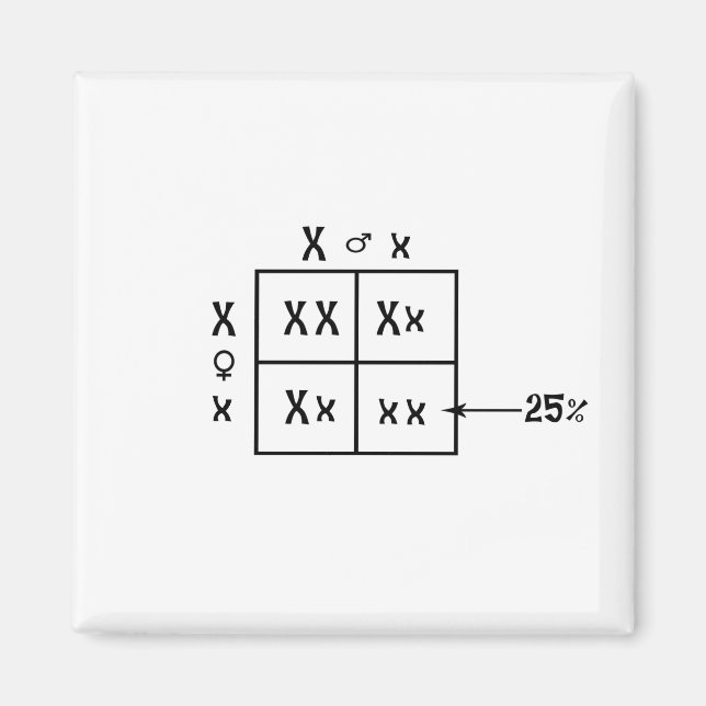 Punnett Square Magnet (Vorne)