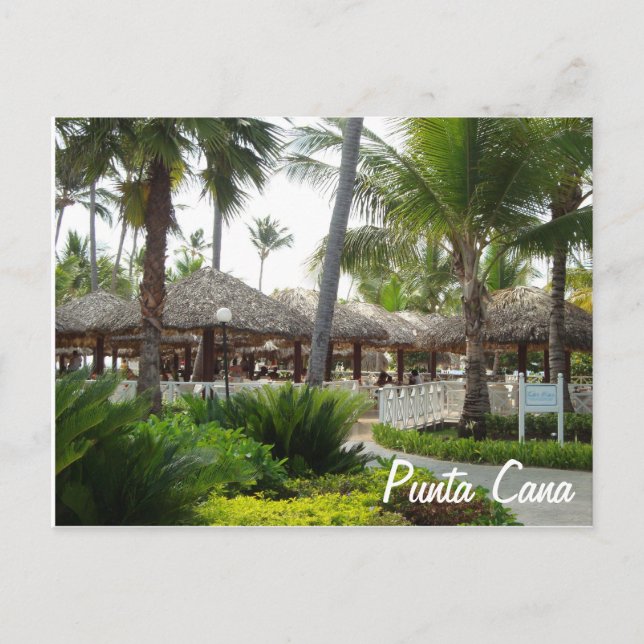 Punta Cana Post Card Postkarte (Vorderseite)