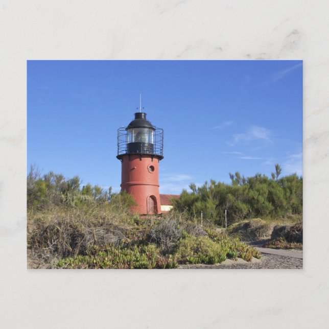 Punta Delgada, Valdes Halbinsel, Tschubut Postkarte (Vorderseite)
