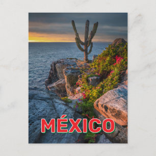 Punta Lobos, Baja California, Mexiko Postkarte