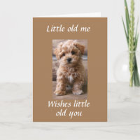 PUP-HILFE SAGEN **GLÜCKLICHER GEBURTSTAG**