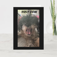 PUP IST KLEIN, WIE WURDE "60" ANGEZEIGT?