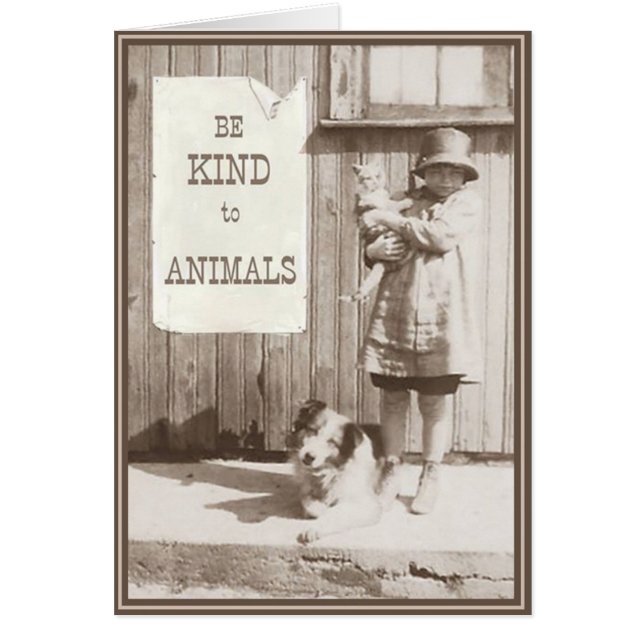 PUP-Kätzchen 10 (Vorne)