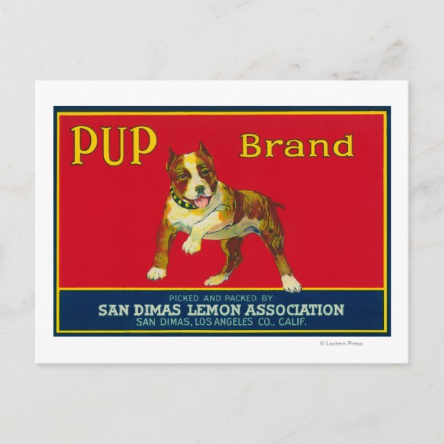 Pup Lemon LabelSan Dimas, CA Postkarte (Vorderseite)