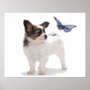 PUP MIT SCHALTFLÄCHE POSTER