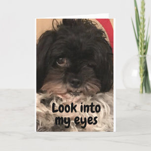 PUP SAGT IHNEN "GLÜCKLICH GEBURTSTAG"! KARTE