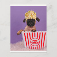 Pupcorn jemand?