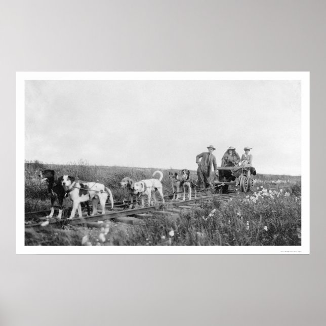Pupmobile Train Nome, Alaska 1906 Poster (Vorne)