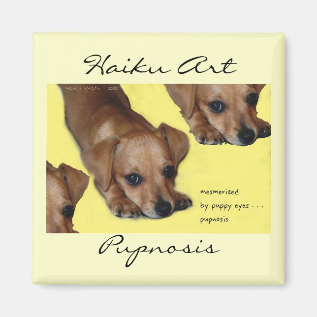 Pupnosis Haiku Art Magnet (Vorne)