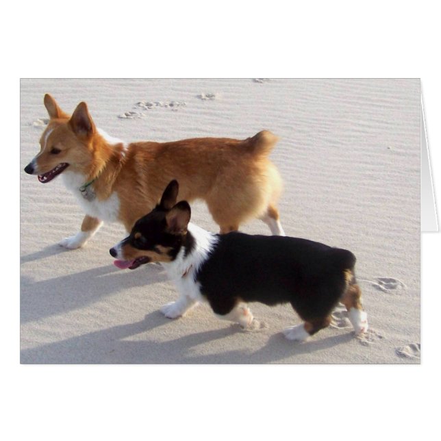 Puppen (Vorderseite (Horizontal))