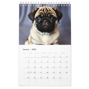 Puppen-Kalender 2025 Kalender