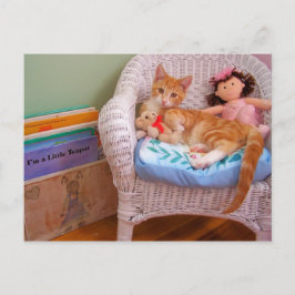 Puppenküche Cole Postkarte