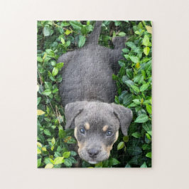 Puppenspielen im Bushes-Puzzle Puzzle
