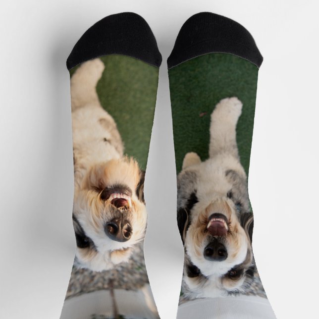 Pupper Socks Socken (Oben)