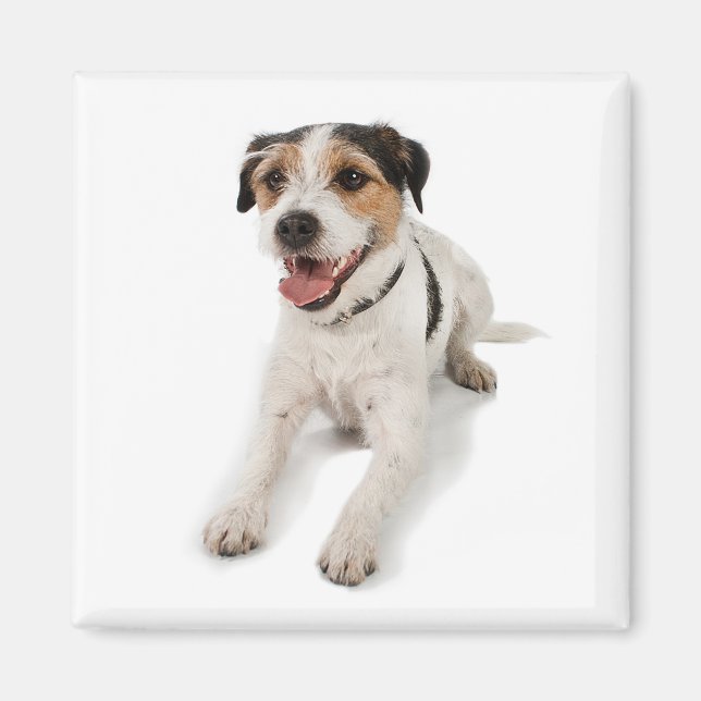 Puppie Magnet (Vorne)