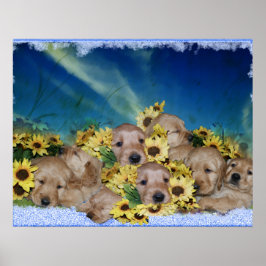 PUPPIEN UND BLUME - GOLDENE RETRIEVER POSTER