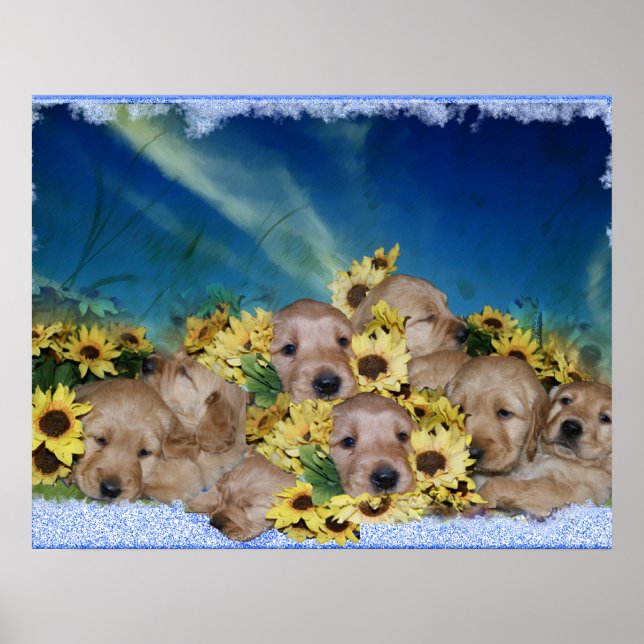 PUPPIEN UND BLUME - GOLDENE RETRIEVER POSTER (Vorne)