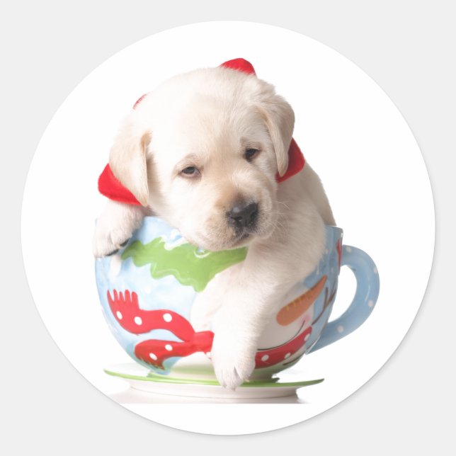 PUPPIEREN IN EINEM CUP-CHRISTMAS-STICKER RUNDER AUFKLEBER (Vorderseite)