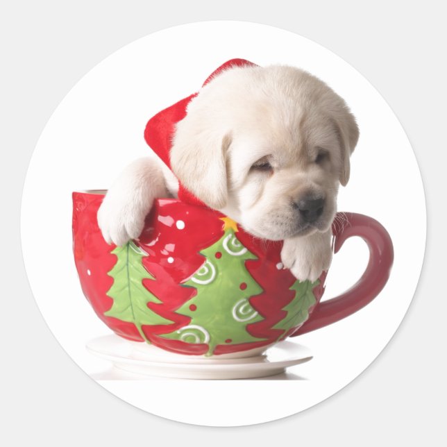 PUPPIEREN SIE IN EINEM CUP-CHRISTMAS-STICKER RUNDER AUFKLEBER (Vorderseite)