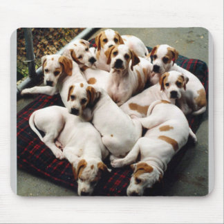 puppies1 mousepad