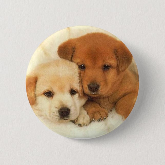 puppies_1 button (Vorderseite)