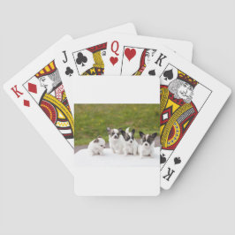 puppies-453532.jpg spielkarten