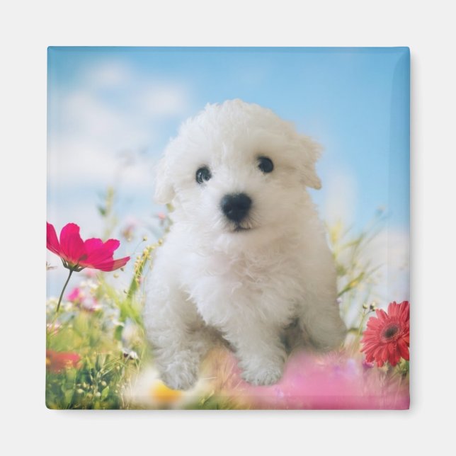 Puppy Angel Magnet (Vorne)