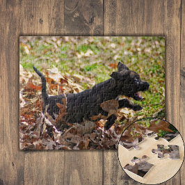 Puppy-Brindle läuft durch Blätter Puzzle