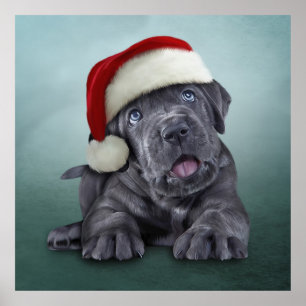 Puppy Cane Corso in rotem Hut des Weihnachtsmannes Poster