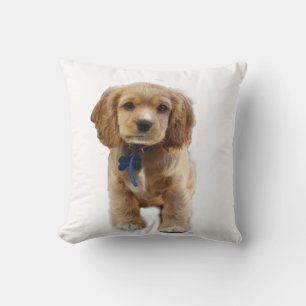 Puppy Ccoker Spaniels Kissen