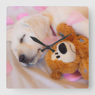 Puppy cuddles 02 quadratische wanduhr