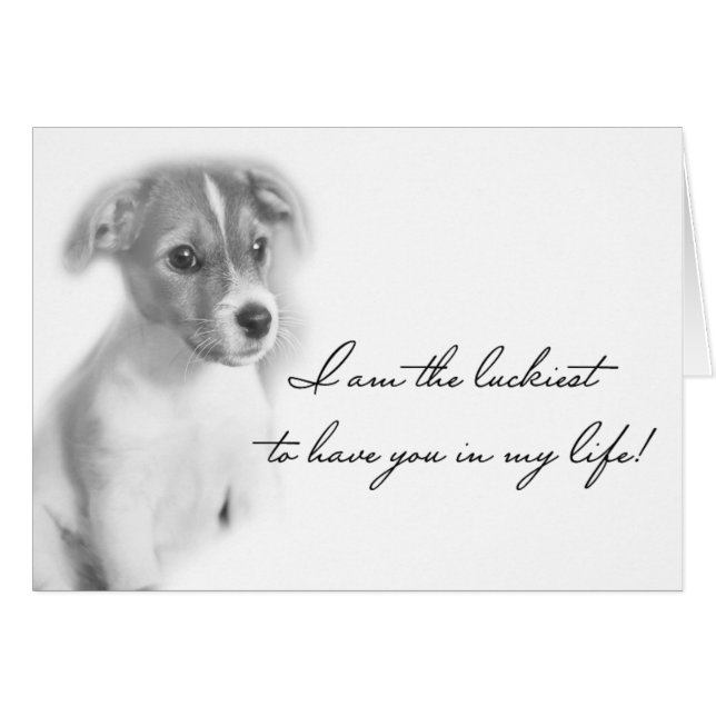 Puppy Dog (Vorderseite (Horizontal))