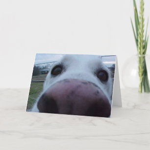 Puppy Dog Face Karte