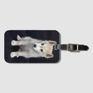Puppy Dog Gepäckanhänger