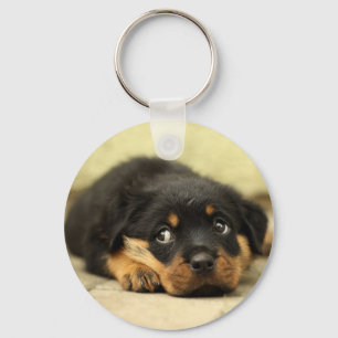 Puppy Dog Schlüsselanhänger
