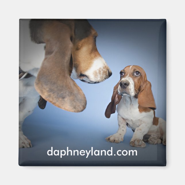 Puppy Encounter Magnet (Vorne)